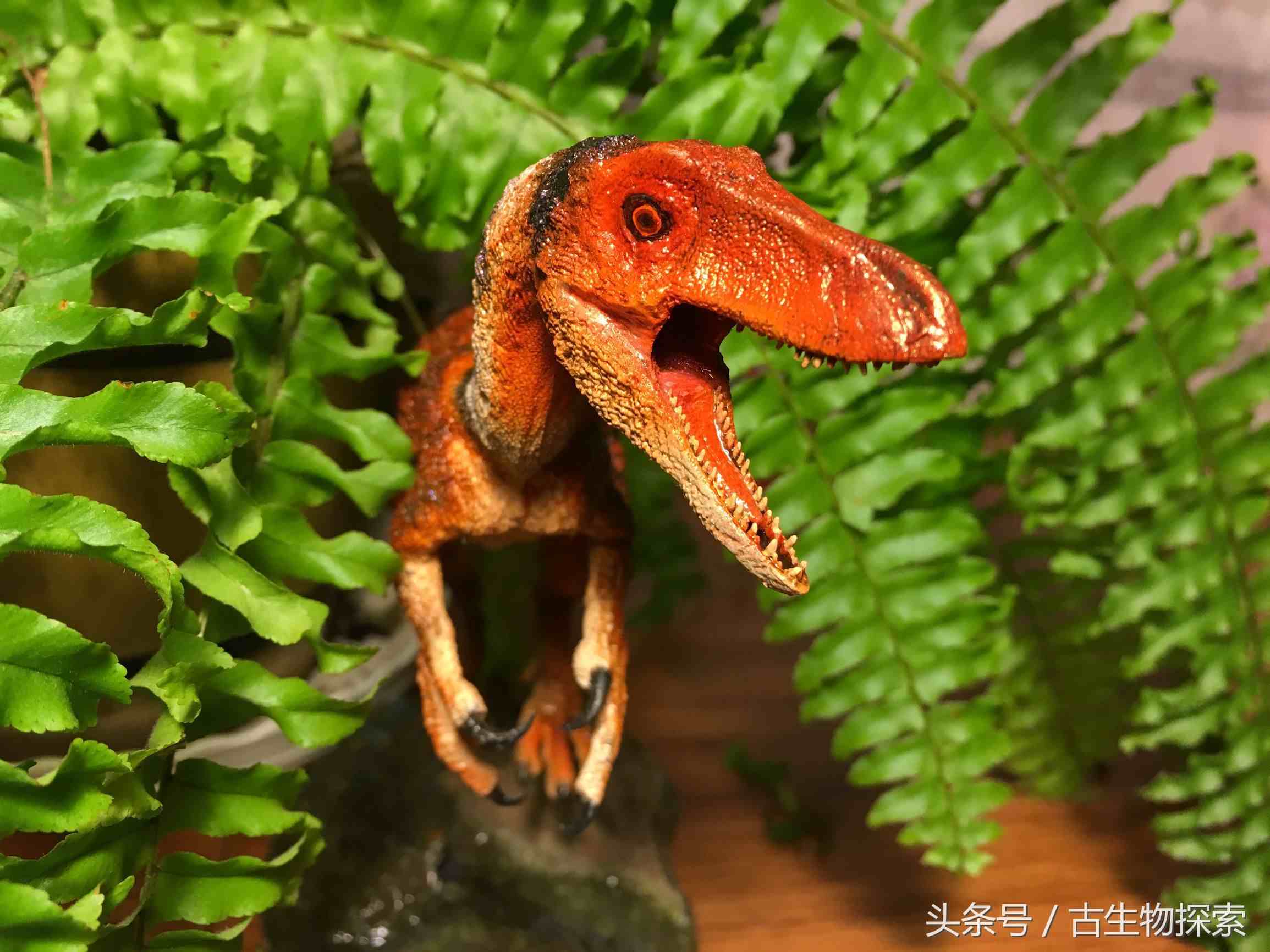 中国百年十大恐龙---中华龙鸟