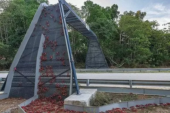 圣诞岛在哪里？|圣诞岛|澳简介