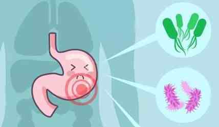浅表性胃炎吃什么好|如何治疗浅表性胃炎？