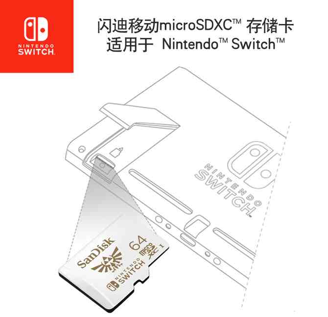 רΪSwitch SanDiskȫTF洢