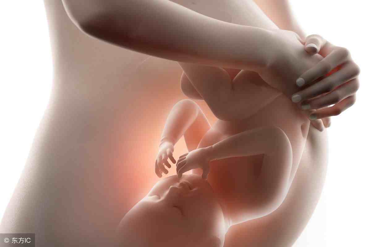 6个月的胎儿长什么样子？准妈妈身体有什么变化？看后觉得好神奇