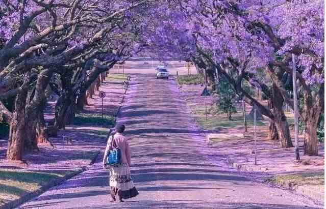 春节去哪里旅游好|最适合春节旅行的7个地方