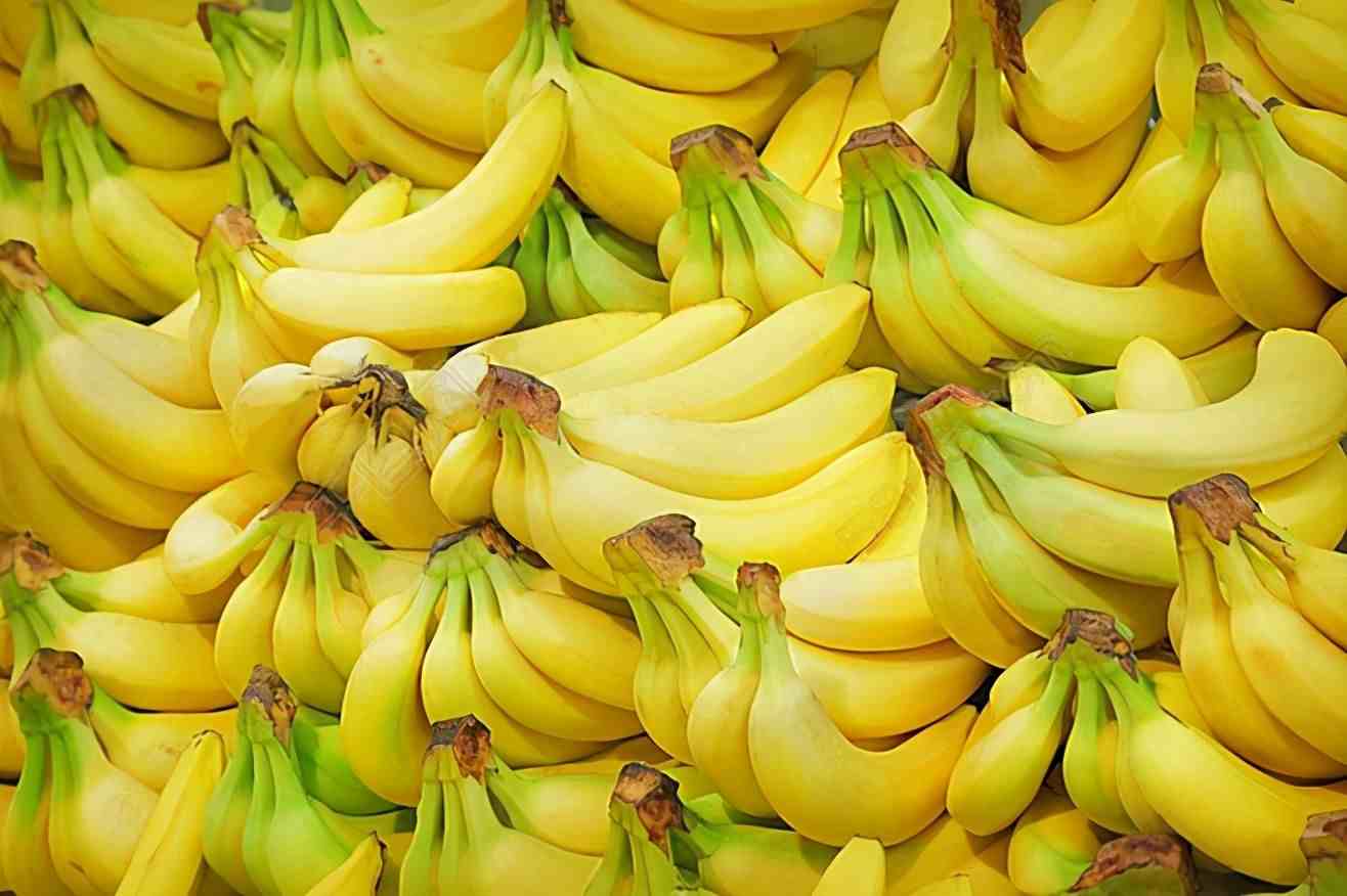 芭蕉和香蕉的区别|香蕉和芭蕉是同一种吗？