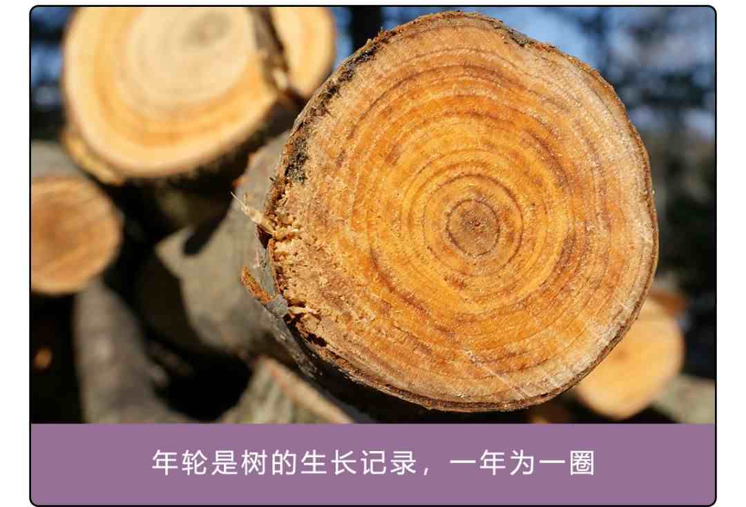 辨别方向的方法有哪些|分清东南西北的N种大招