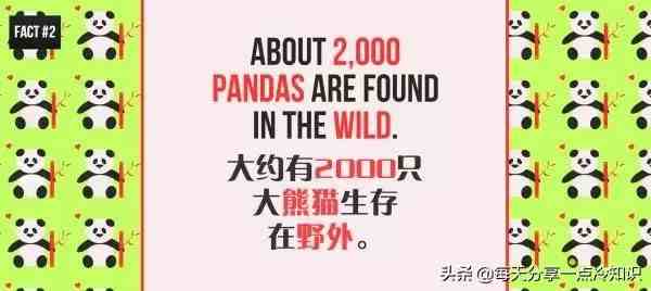 熊猫的知识资料大全|20个熊猫趣味冷知识