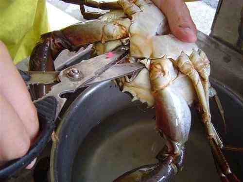 家常洗螃蟹的方法，清洗干净之后这样吃才营养！