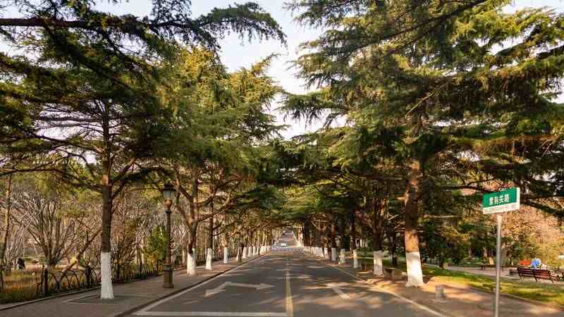 青岛两日游|山东青岛两天一晚的旅行计划