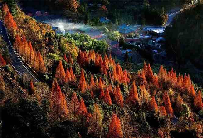 武当山旅游门票多少钱？