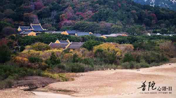 舟山普陀山攻略|舟山普陀山旅游完全攻略