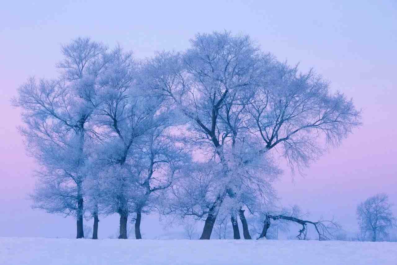 20首冬日诗词，感受一下，诗词中的“冷”！