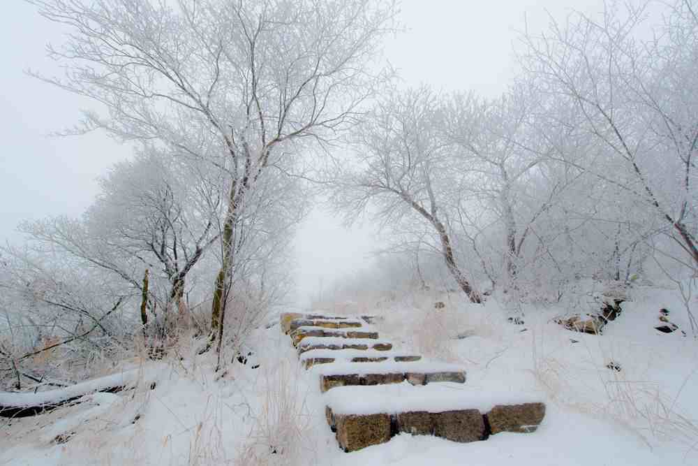 囊萤映雪的主人公是谁|囊萤映雪中的主人公