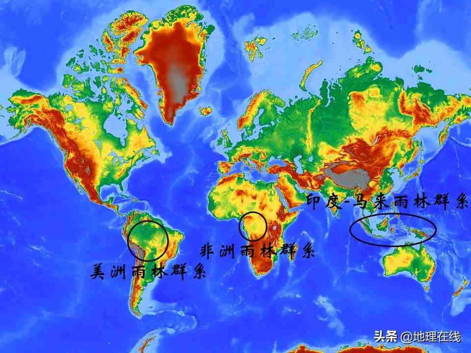 为什么热带雨林很重要？世界上三大热带雨林气候区主要分布在哪？
