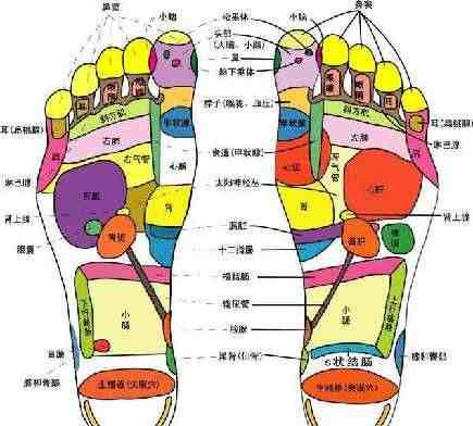 足部穴位图| 脚底的穴位图及功能