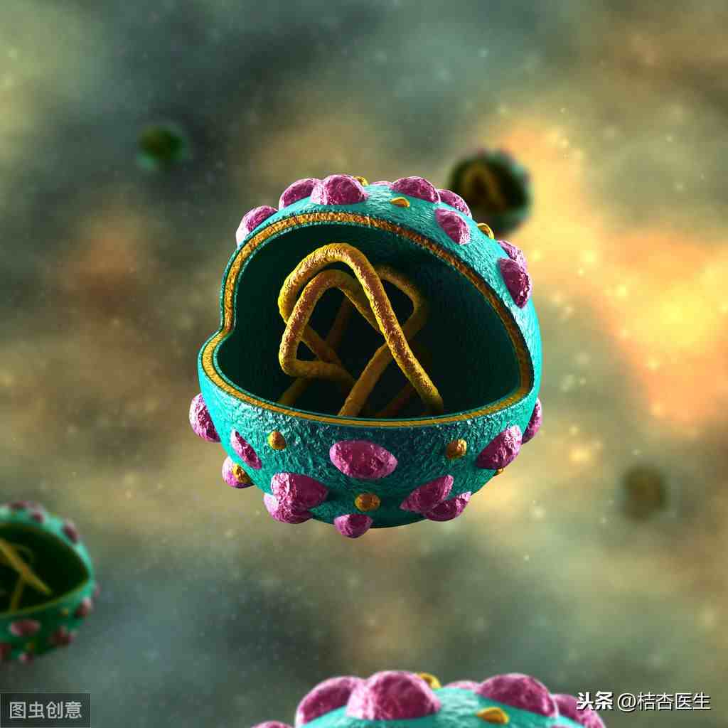 什么是汉坦病毒|汉坦病毒到底是什么？