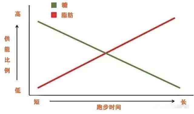 晚上跑步可以减肥吗|晚上跑步真的会瘦吗？