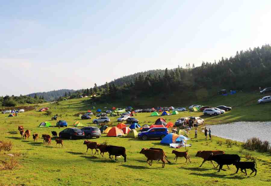 重庆仙女山旅游攻略|重庆仙女山一日游攻略