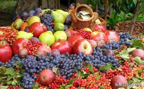 秋天成熟的水果有哪些|那么你知道秋天成熟水果都有哪些吗？