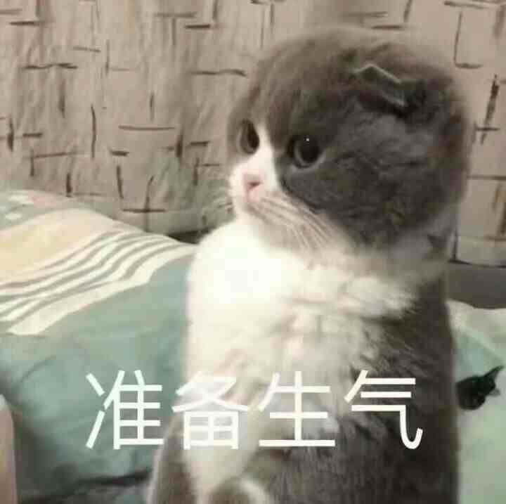 麒麟猫是什么？|猫咪麒麟尾是咋回事？