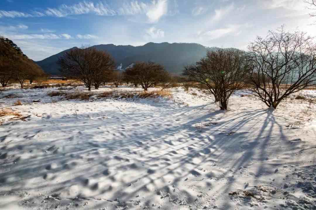 关于雪的诗词|关于雪的20句诗词