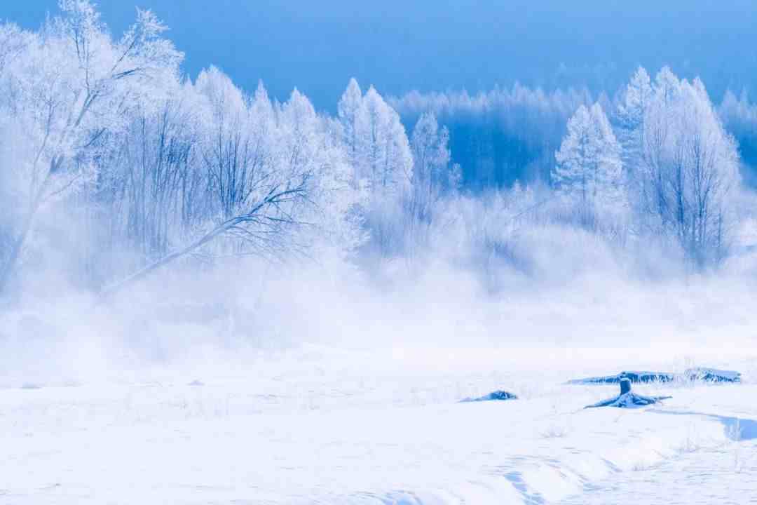 关于雪的诗词|关于雪的20句诗词