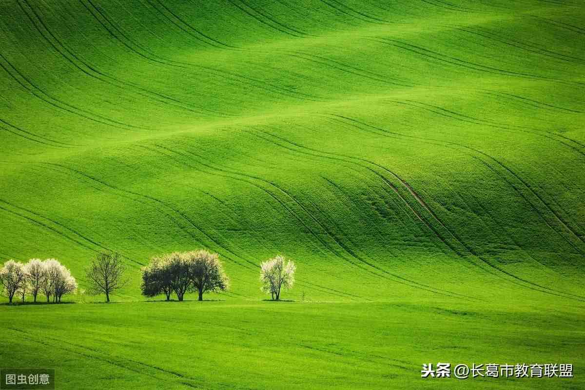 初三自我评价|初中新中考学生自我评价模板！