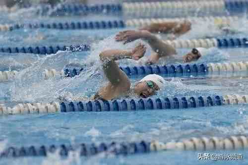 奥运会游泳比赛|游泳比赛竞赛规则