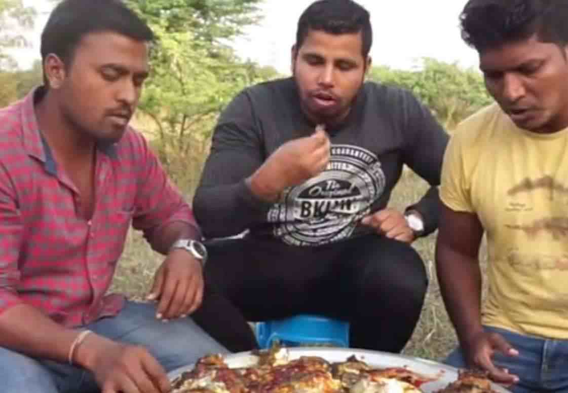 印度教徒|印度人能不能吃肉？