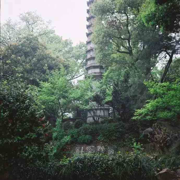 十首诗词，写尽最无奈的人世悲凉