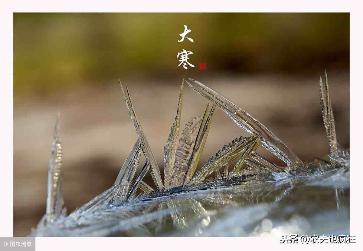 大寒是什么意思啊|今年大寒节气是哪一天？