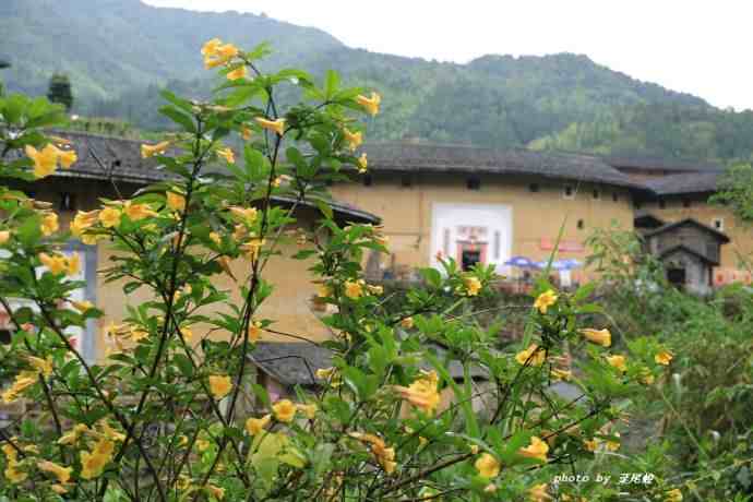 永定土楼旅游攻略|龙岩永定土楼全攻略