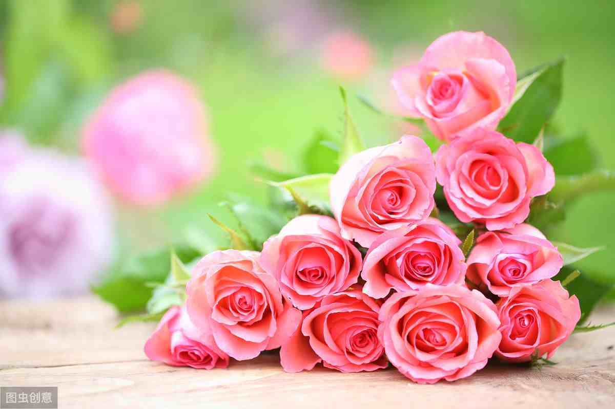 玫瑰花不同的朵数代表不同的含义，六朵玫瑰代表什么