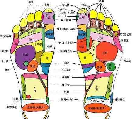 脚底穴位图|脚底的穴位图及功能