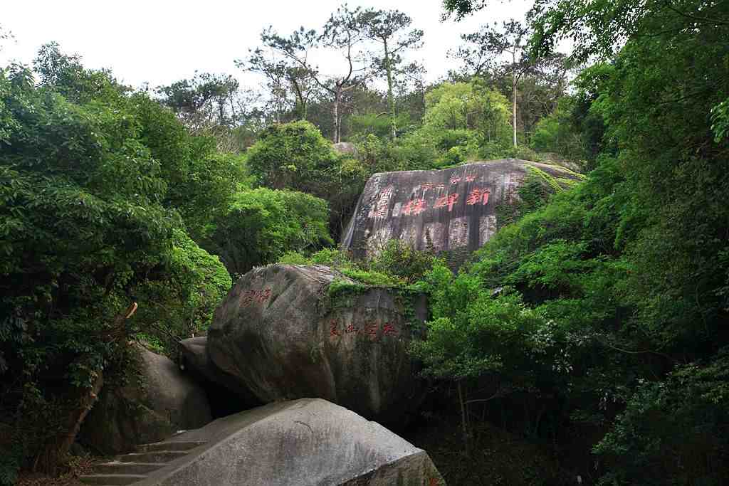 厦门万石植物园攻略|厦门万石植物园四种玩法