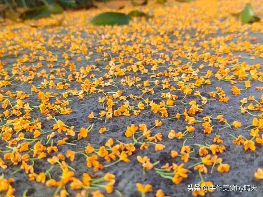 桂花蜜的做法|自制桂花蜜一看就会