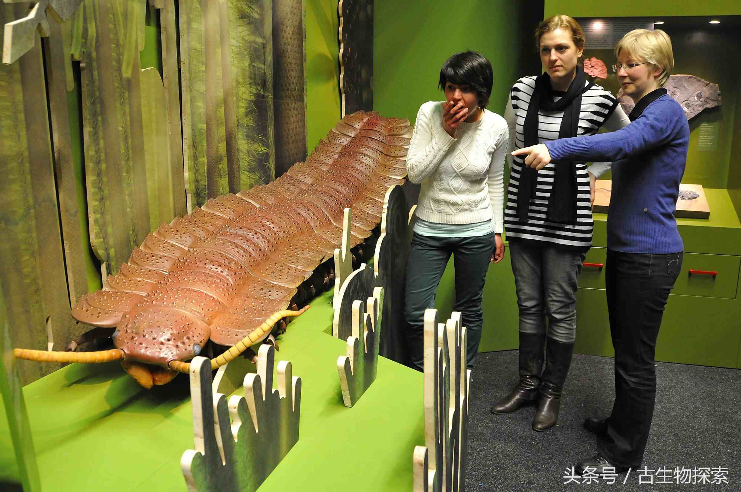 世界上最大蜈蚣有多大|史前蜈蚣体长可达3米！