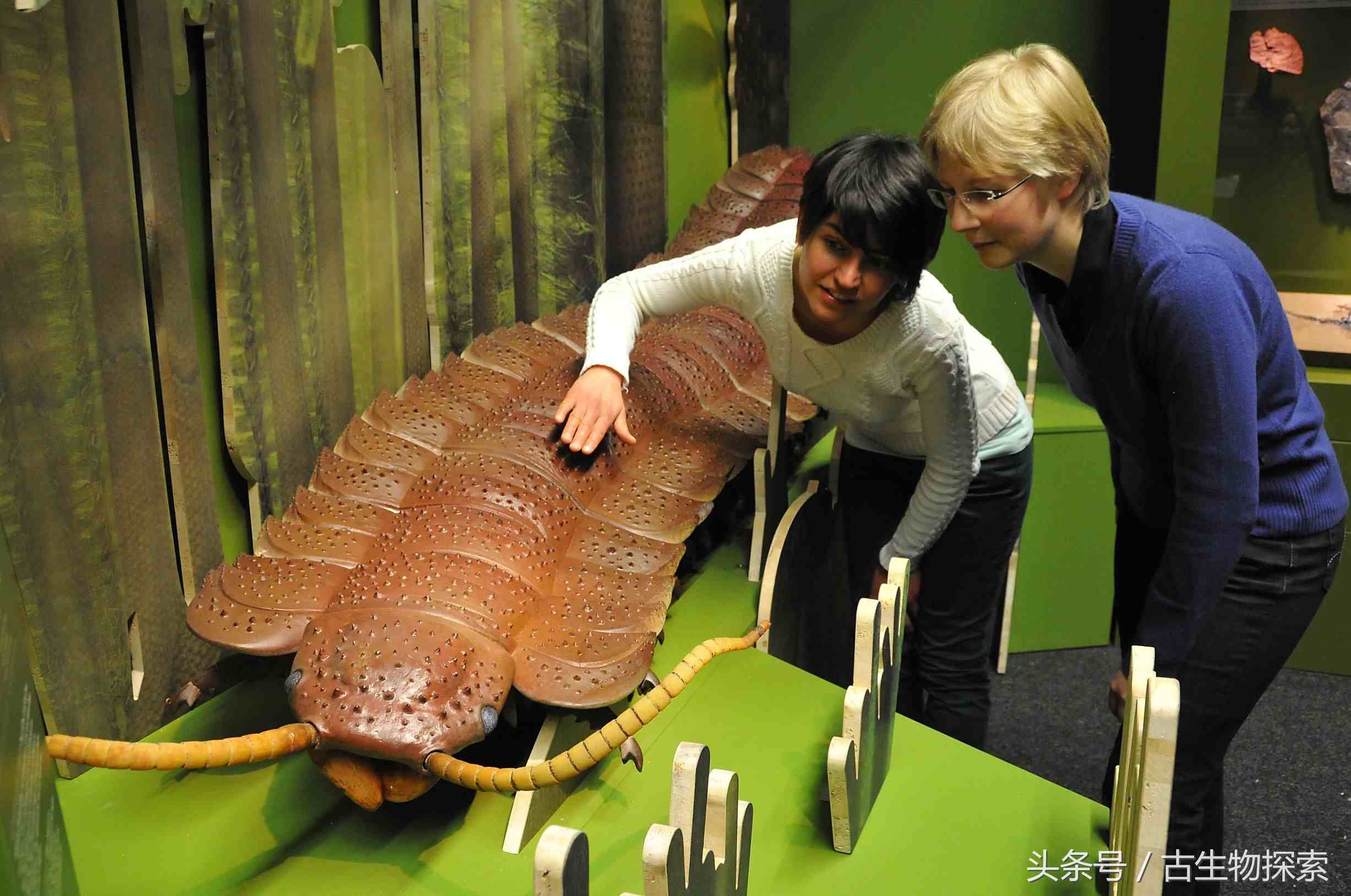世界上最大蜈蚣有多大|史前蜈蚣体长可达3米！