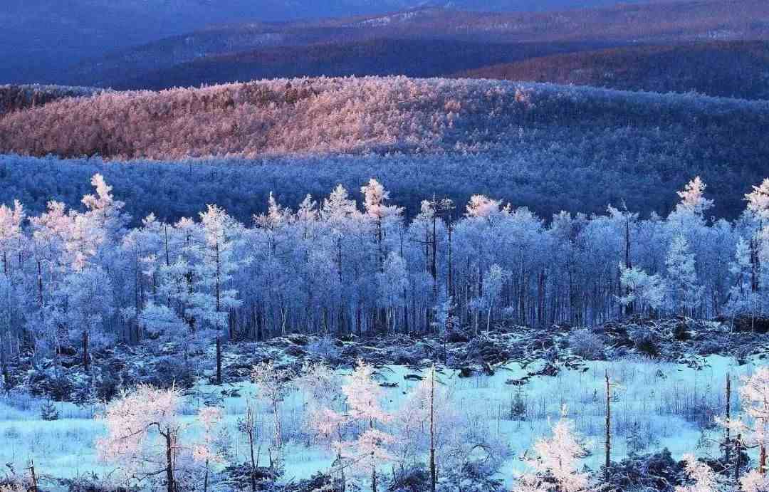 描写冬天的诗有哪些|十首冬景的诗词，冬天的景色