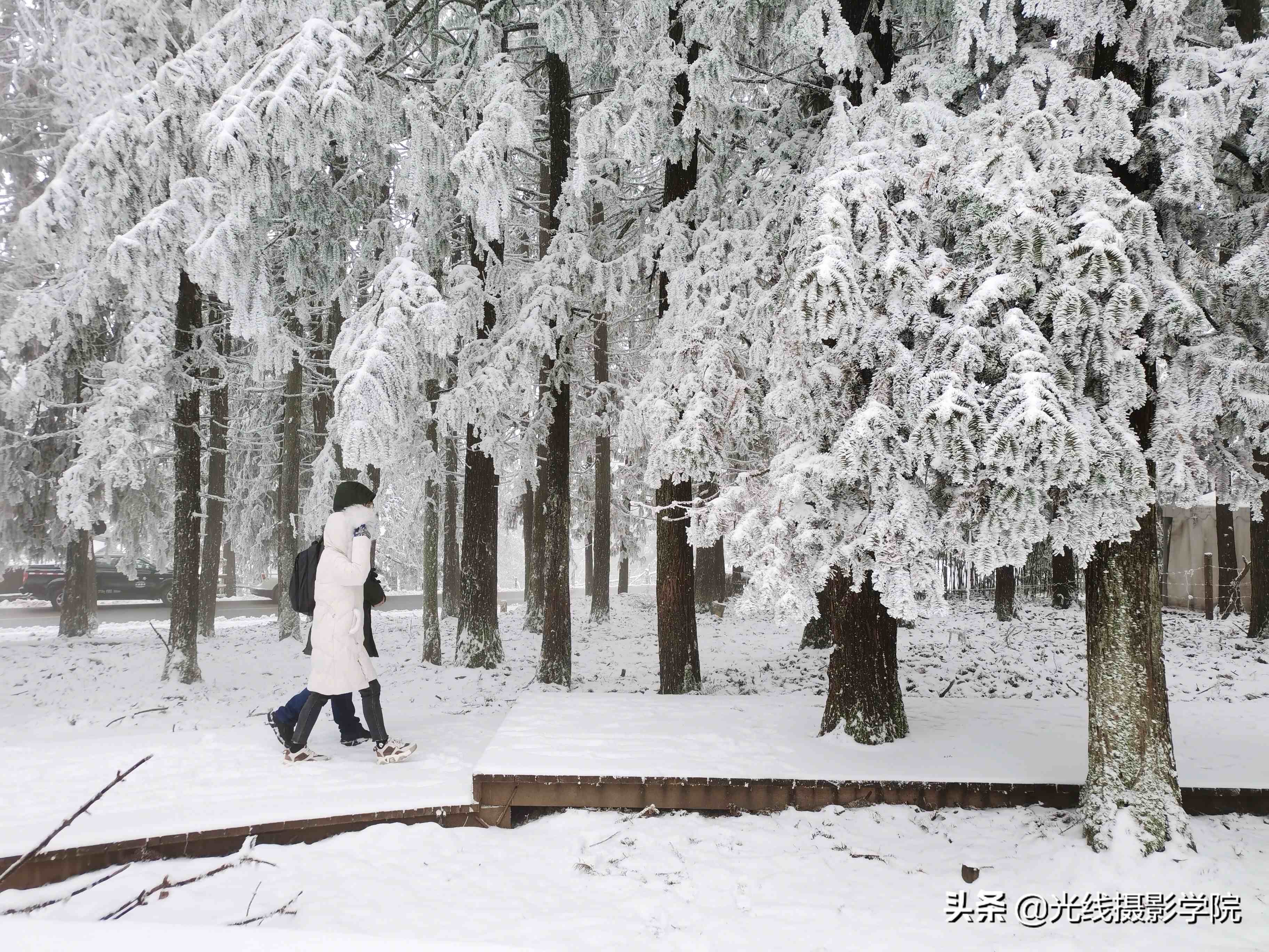 重庆仙女山攻略|重庆仙女山雪景行摄攻略