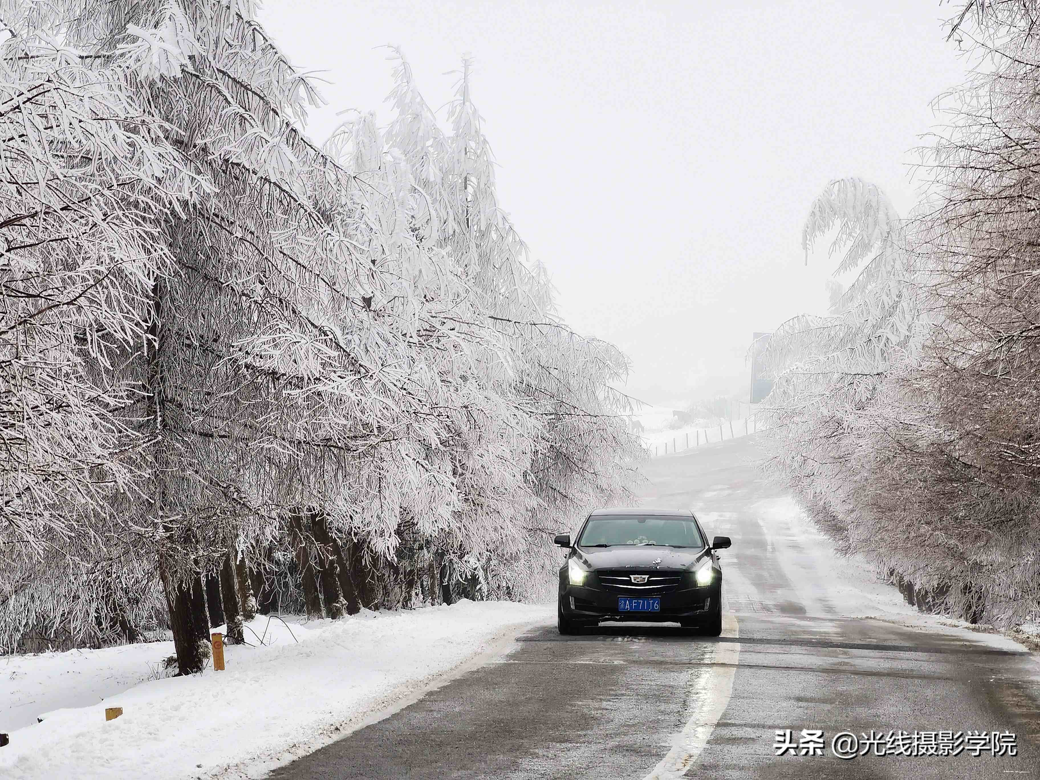 重庆仙女山攻略|重庆仙女山雪景行摄攻略