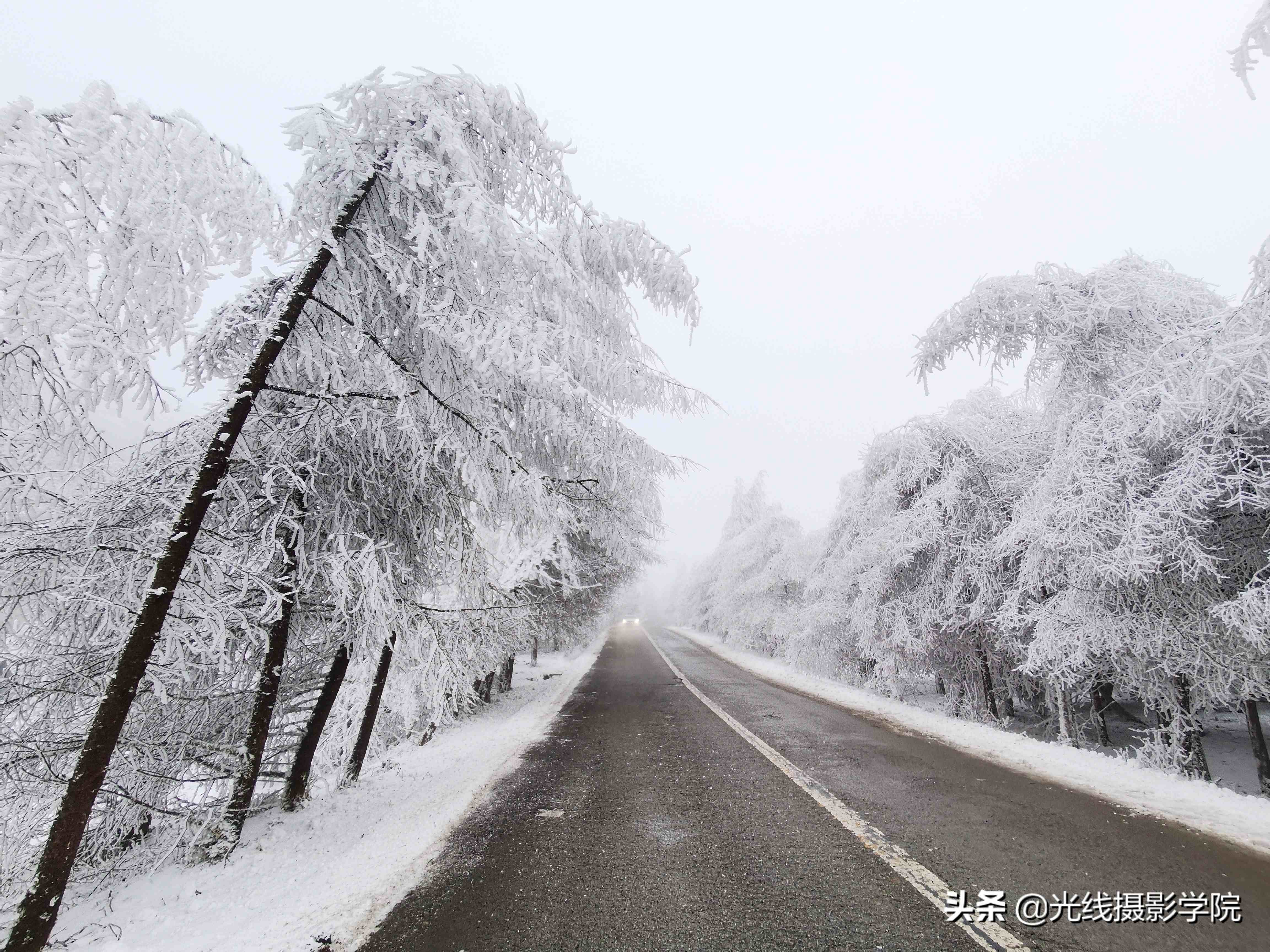 重庆仙女山攻略|重庆仙女山雪景行摄攻略