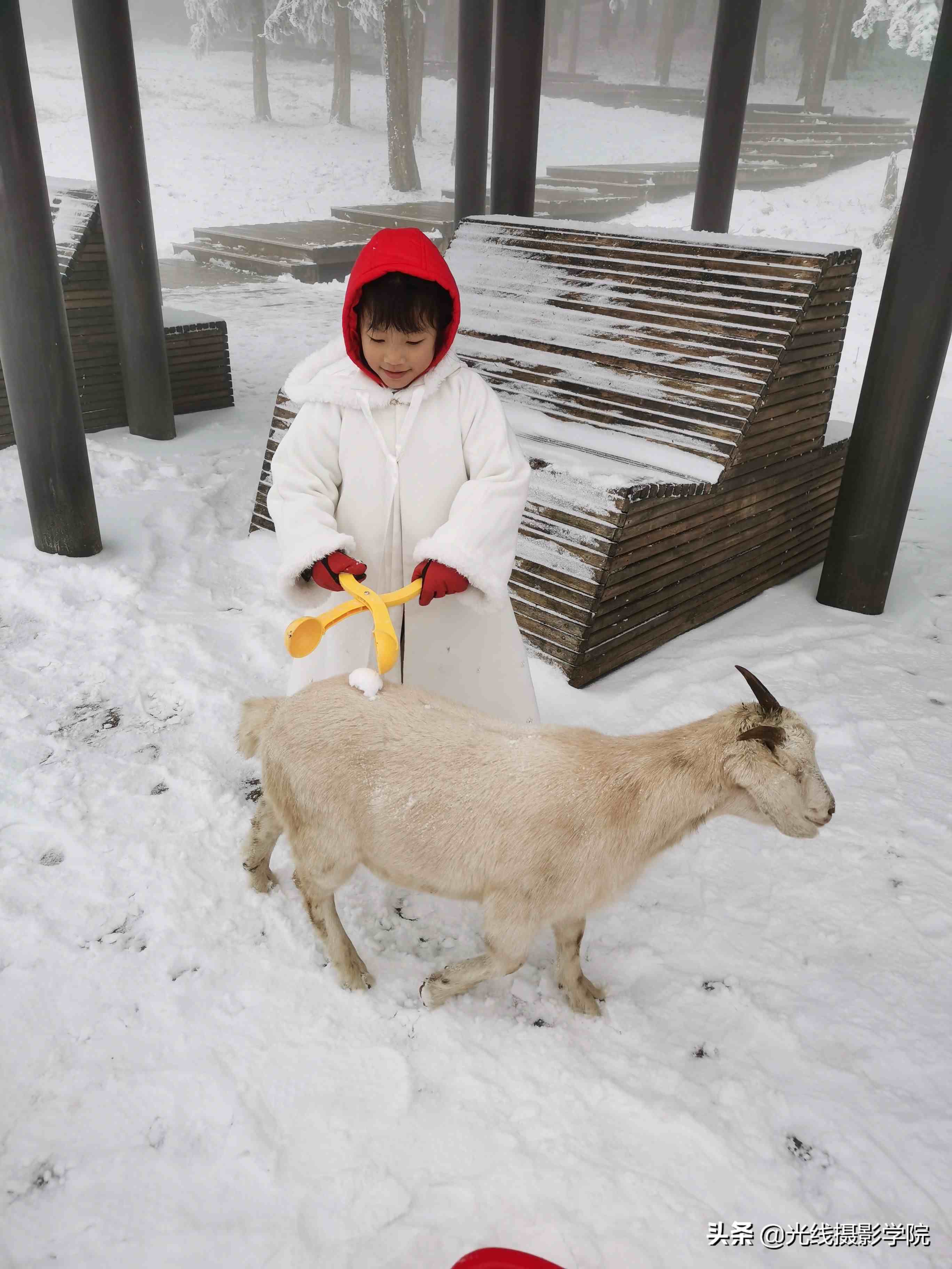 重庆仙女山攻略|重庆仙女山雪景行摄攻略