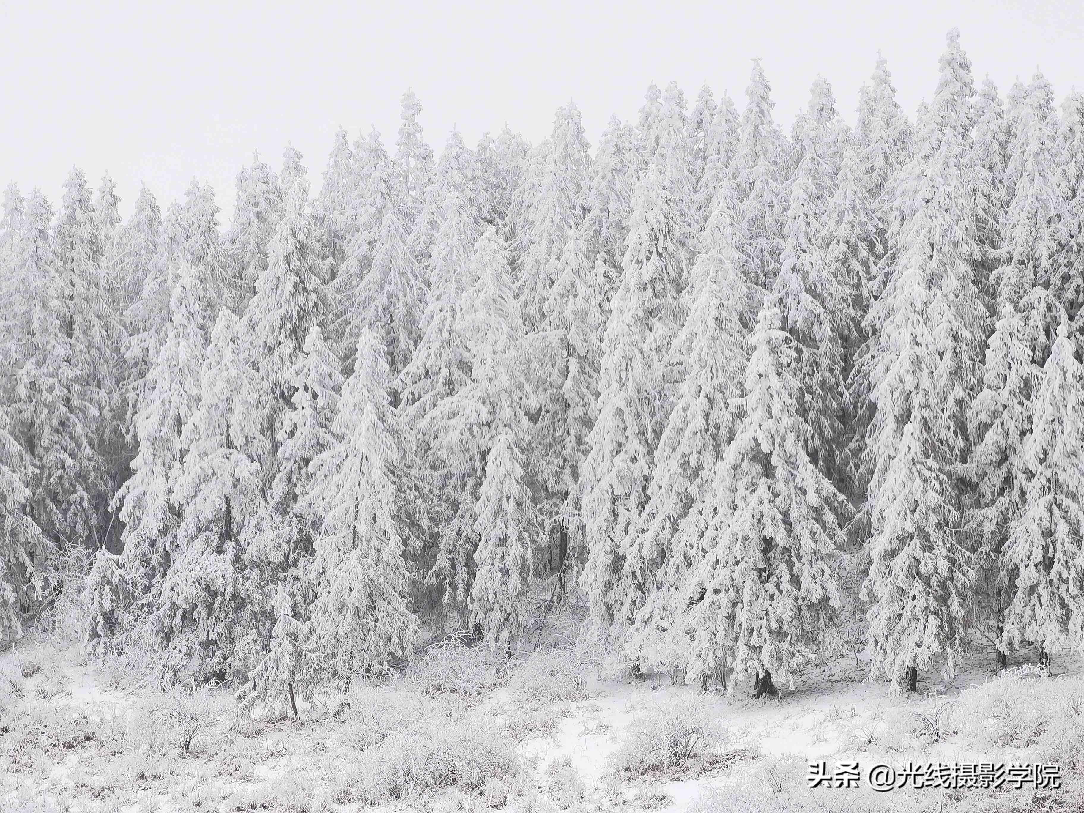 重庆仙女山攻略|重庆仙女山雪景行摄攻略