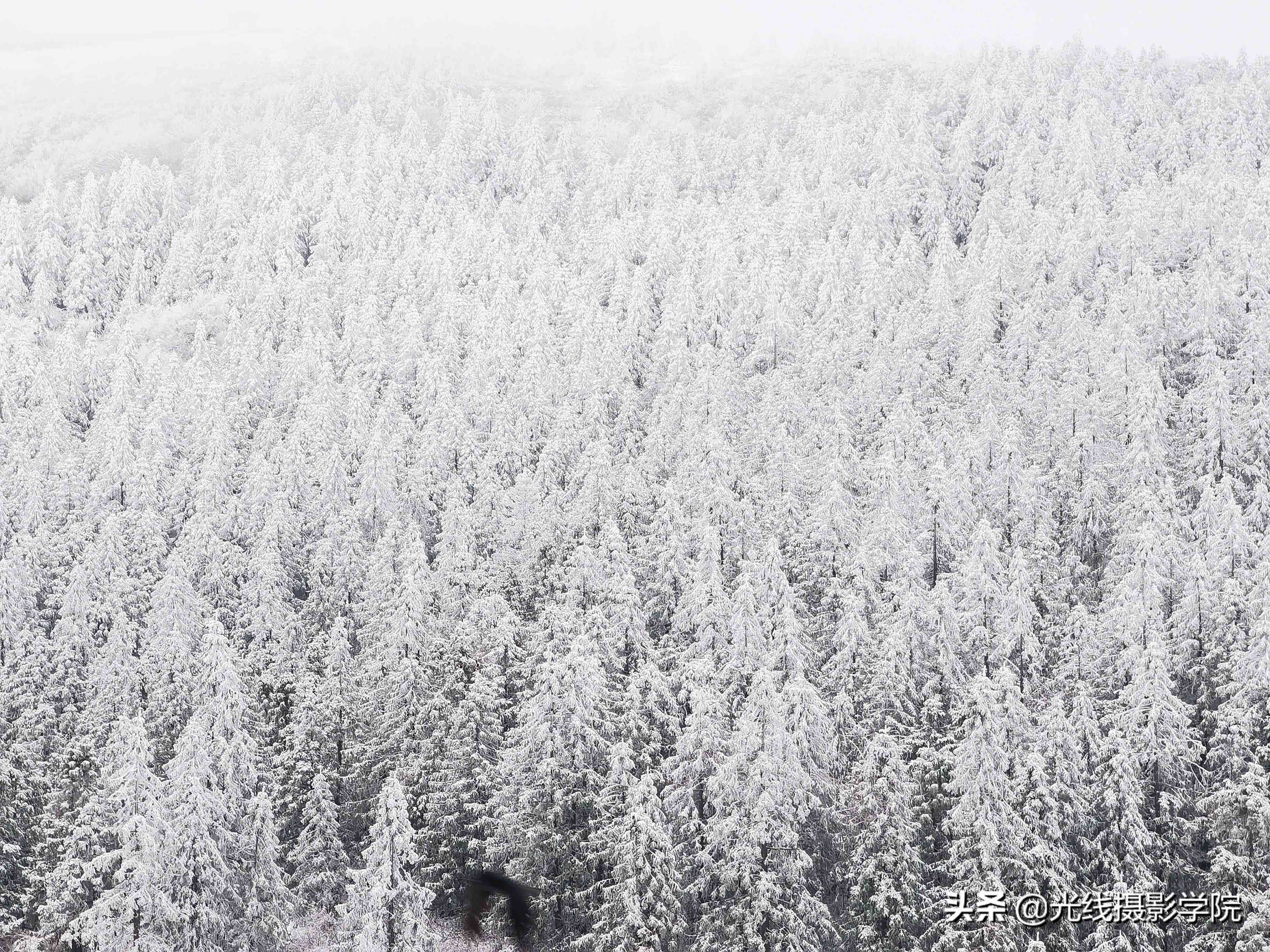 重庆仙女山攻略|重庆仙女山雪景行摄攻略