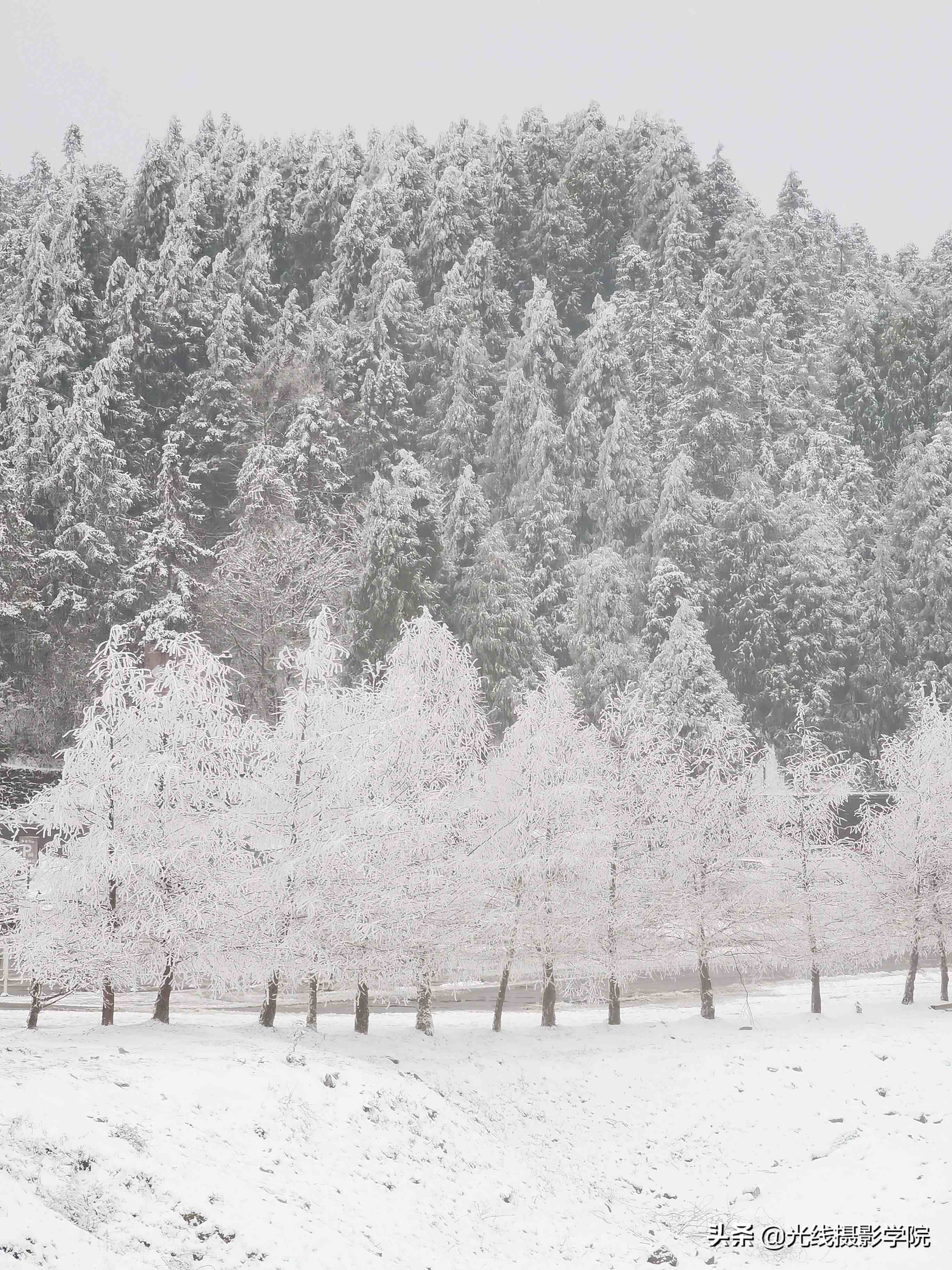 重庆仙女山攻略|重庆仙女山雪景行摄攻略