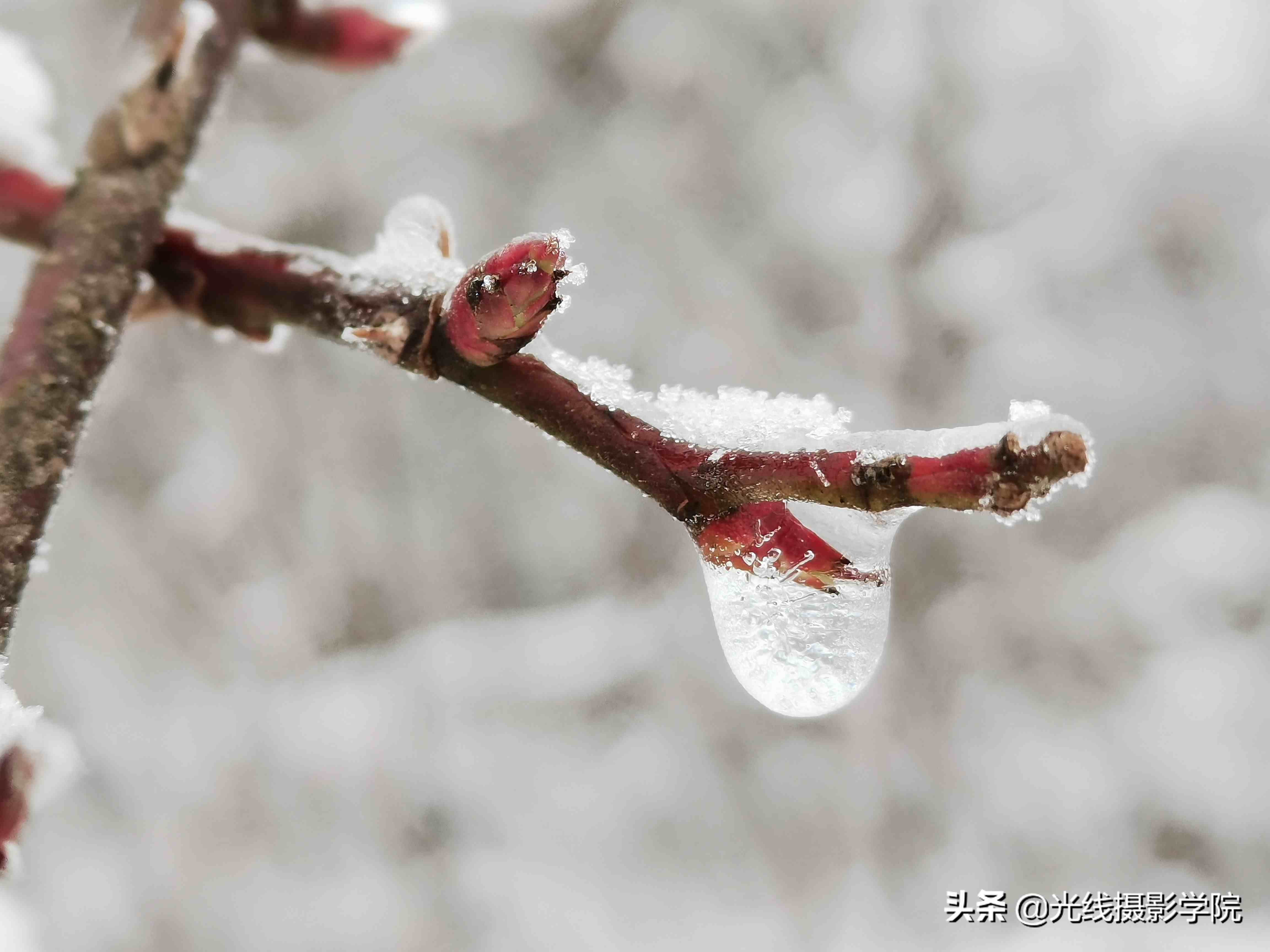 重庆仙女山攻略|重庆仙女山雪景行摄攻略