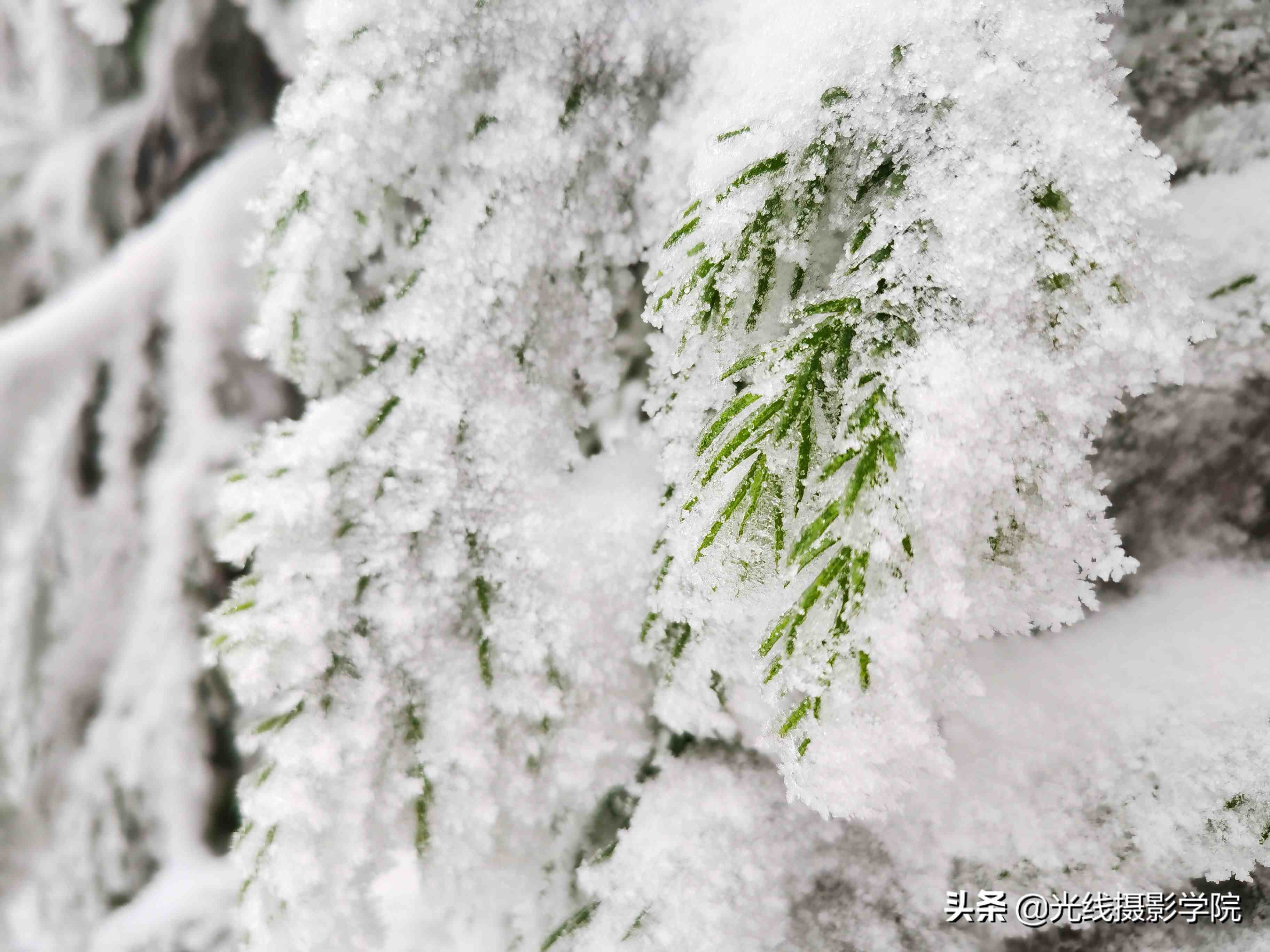 重庆仙女山攻略|重庆仙女山雪景行摄攻略