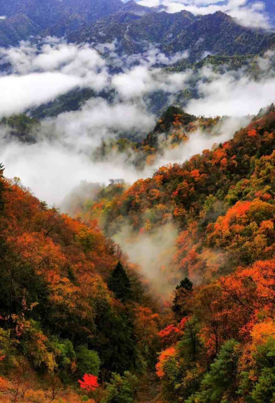 国庆景美人少10地方，藏着大中国低调绝密的景色，秋色太撩人了