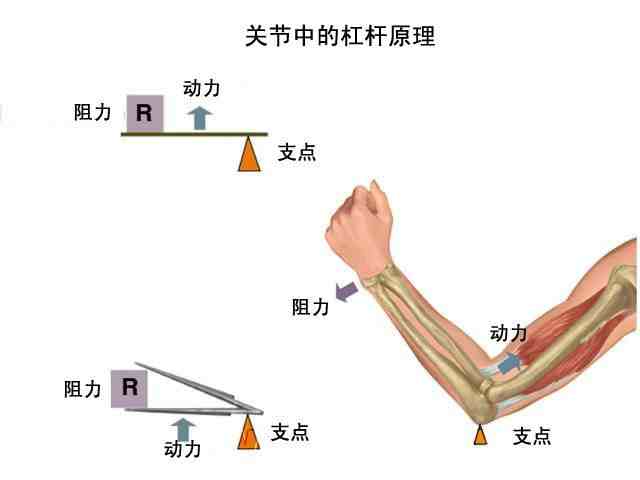 臂力器锻炼方法图解|坚持用臂力器锻炼手臂肌肉？