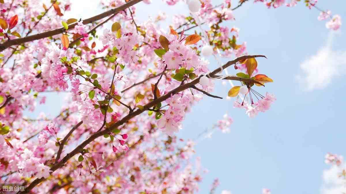 春天的古诗有哪些|春天最美的18首小诗
