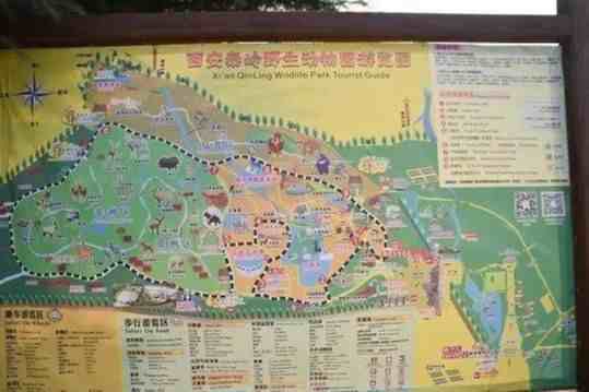 秦岭野生动物园参观攻略，西北最大，动物最多